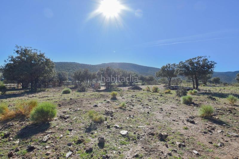 Foto f90bddae-af65-49f4-ae46-9576314c3d9e. Finca rústica parcela rústica con proyecto de explotación ganadera y nave de aperos 14,63 ha en Lugros