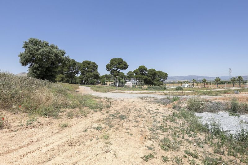 Foto 21606e38-3800-47ef-9d23-bb26d190f120. Terreny residencial a Calicasas