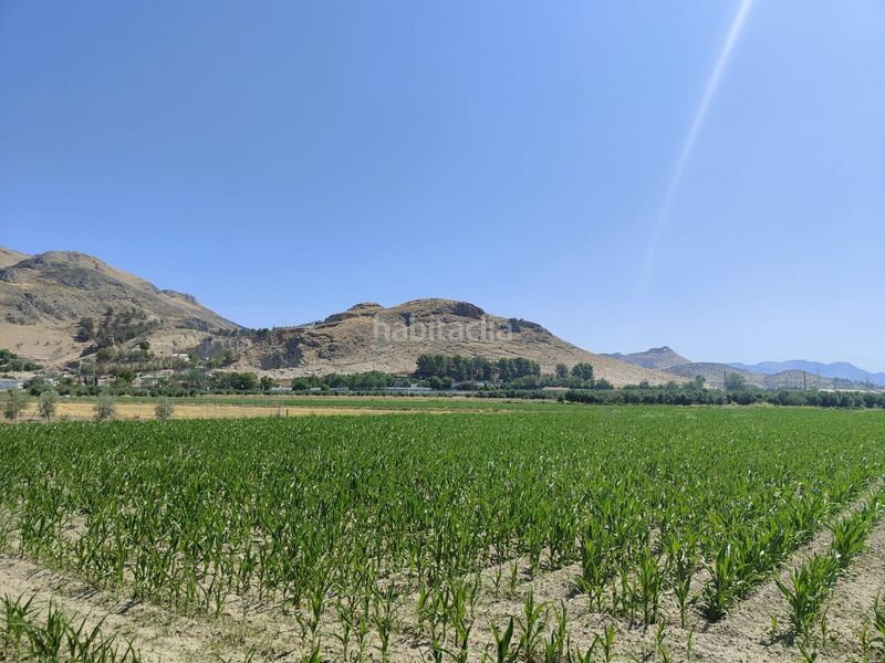 Foto 246d914f-688a-4cd5-9626-e068a23071e4. Finca rústica a carretera carretera de pinos puente a Atarfe