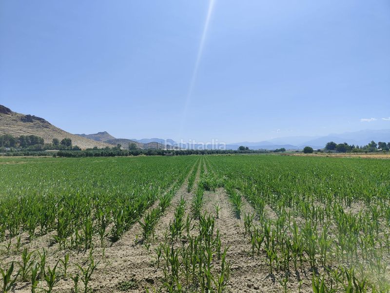 Foto b68f16ba-8e3b-4fbd-b1bd-5935b64696e0. Finca rústica a carretera carretera de pinos puente a Atarfe