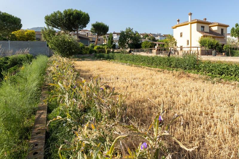 Foto 075deec7-4999-4852-91cf-1af9bd3782e9. Terreno residencial terreno urbano 1060m en la zubia en Zubia (La)