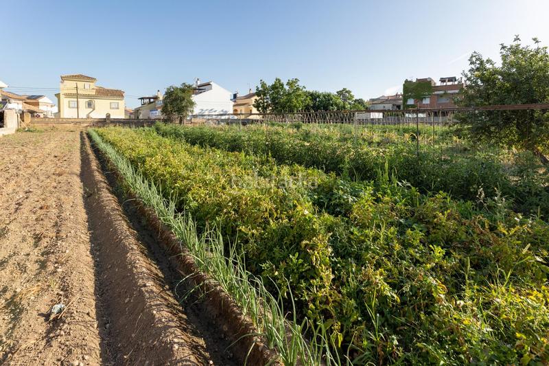 Foto c0d6bd31-62c6-46fb-b850-cefecadb9453. Terreno residencial terreno urbano 1060m en la zubia en Zubia (La)