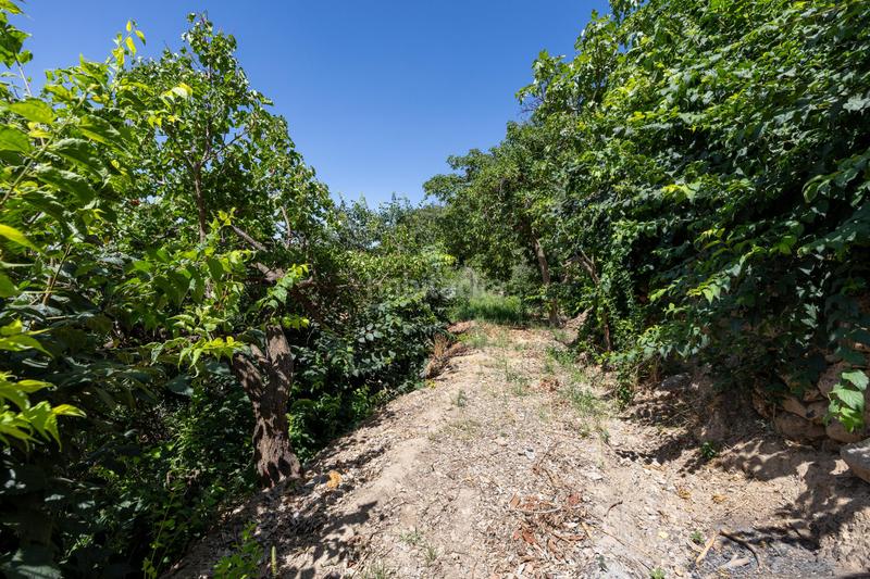 Foto 14d54f06-8e64-45f2-9de2-6dc1614af2ad. Country house in Centro - Sagrario Granada