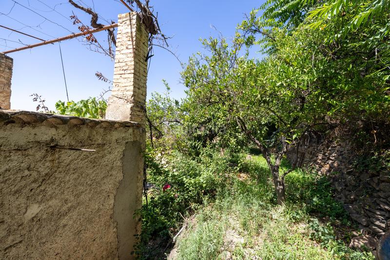 Foto 2a7253db-02c4-4e40-9c34-d66df6819c02. Country house in Centro - Sagrario Granada