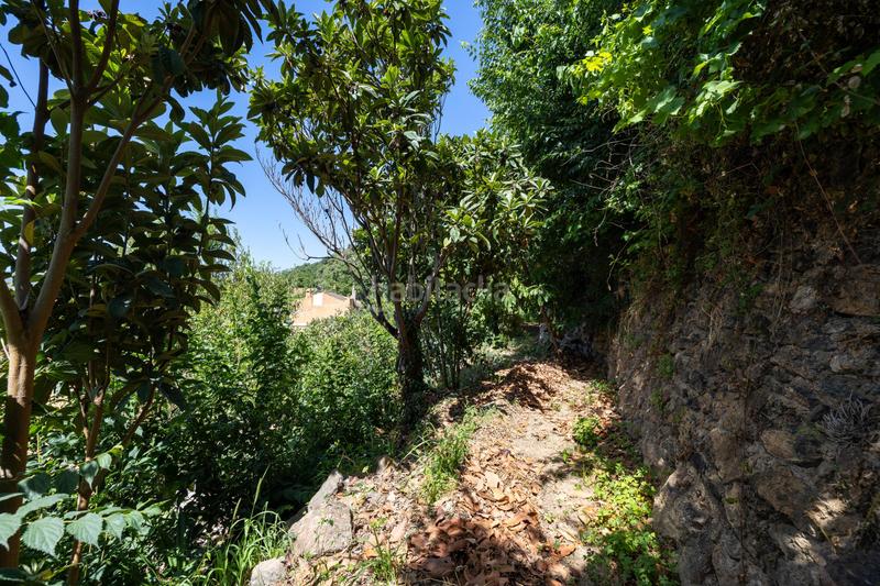 Foto 36e1a875-34dd-4005-9bc6-d869d57cbc08. Country house in Centro - Sagrario Granada