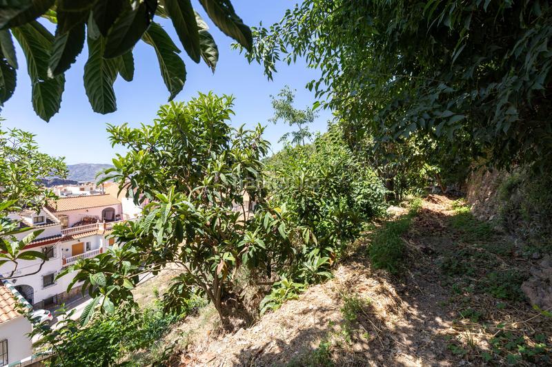 Foto 7c3ce02a-e52f-4740-b0f1-10e73f3d77fa. Country house in Centro - Sagrario Granada