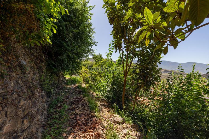 Foto cd30a938-acf4-49b5-ae5e-618ec1850ce3. Country house in Centro - Sagrario Granada