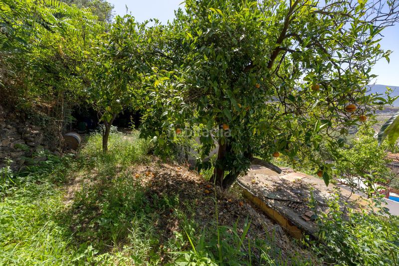 Foto eea1de20-eb88-4c56-bdaf-a88be06befa4. Country house in Centro - Sagrario Granada