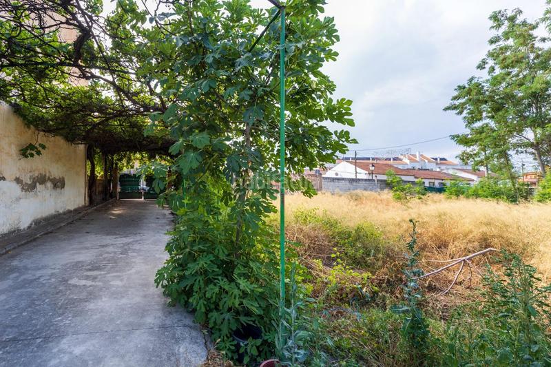 Foto a32e3ecb-f5d9-4983-8002-52cf2055f36e. Casa  rústica con terreno en pedro ruiz en Santa Fe