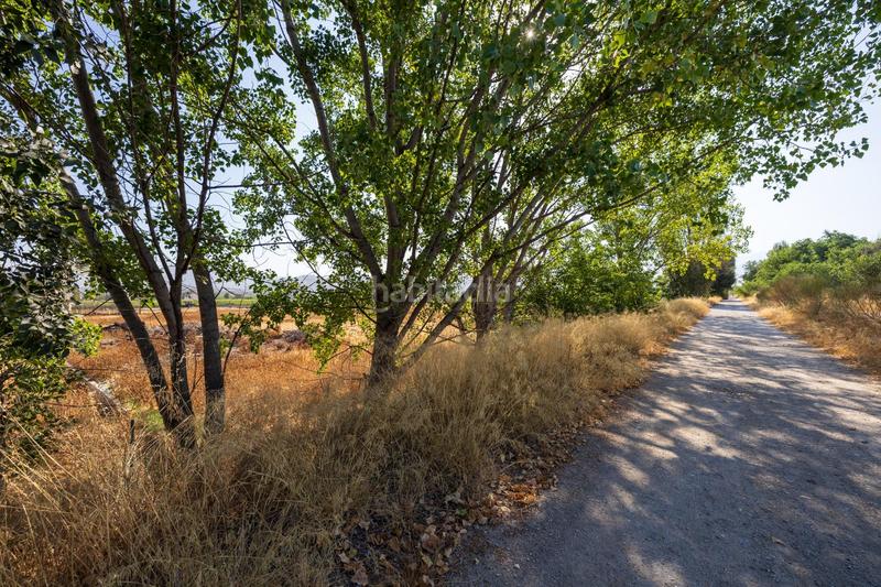 Foto c3fbd6de-3686-46f1-8cfb-f4d0a860eb6d. Propriété dans marachatalan 9 dans Camino de Ronda Granada