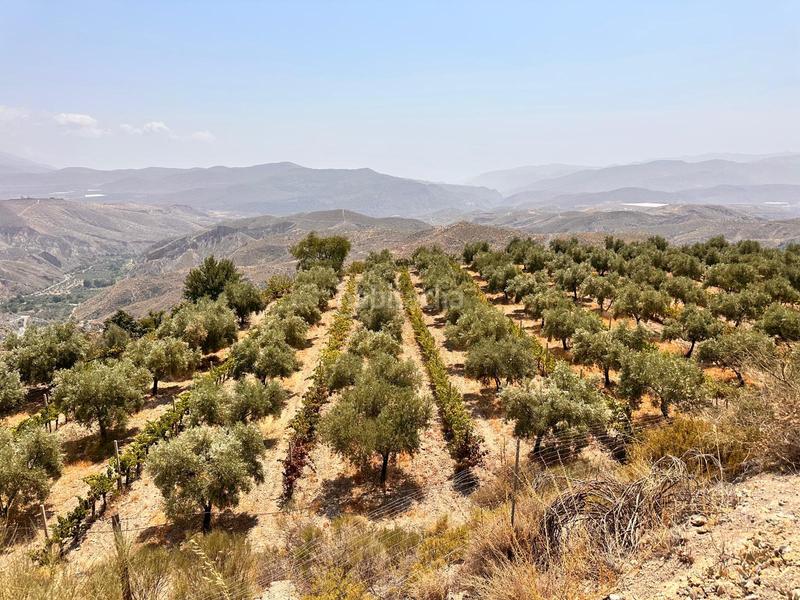 Foto 0724f26c-3f79-4ce8-b28c-1febd368fff3. Local commercial dans La Paz Granada