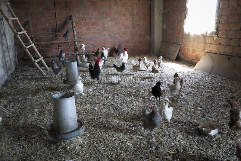 Foto 1da2b709-60a1-4a63-b896-c4629b85a8b2. Local commercial dans La Paz Granada