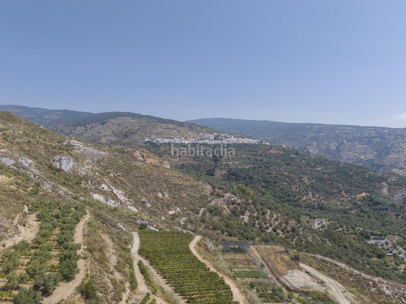 Foto 94c6cc1b-3a7d-4c65-9915-0b6a6030db9b. Local commercial dans La Paz Granada