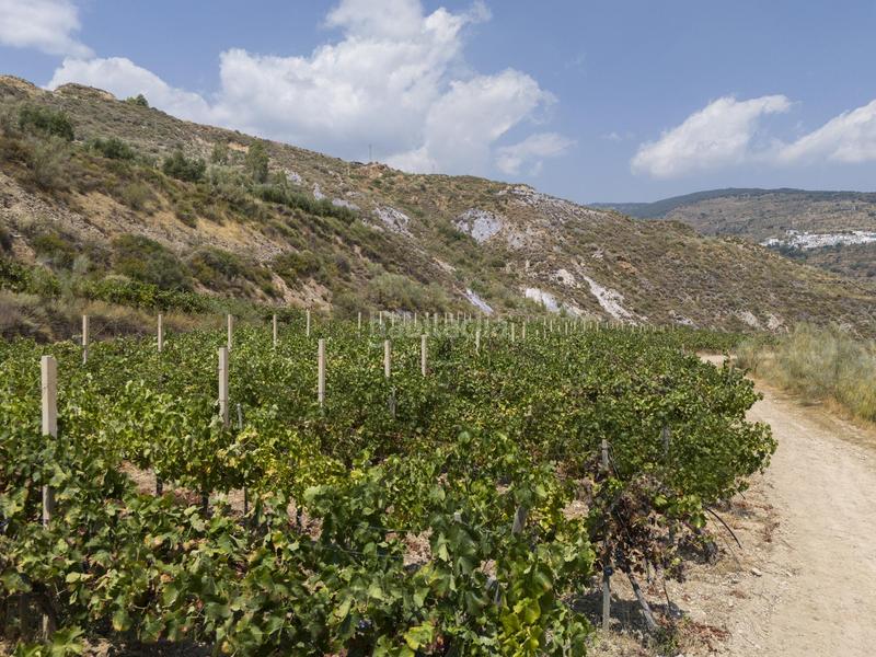 Foto fe6af6c9-587f-4837-892b-c7800c6da232. Local commercial dans La Paz Granada