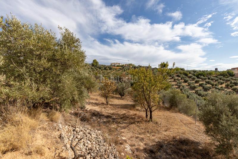 Foto 32e45390-c0b4-441c-8ae2-783c3406adf6. Masía maravillosa casa rústica con parcela de 10.000m2! en Cogollos de la Vega