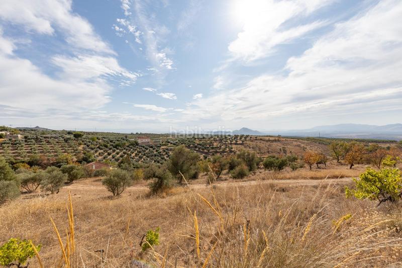 Foto 515a1b05-ed5e-4dae-b68c-128a869a9801. Masía maravillosa casa rústica con parcela de 10.000m2! en Cogollos de la Vega