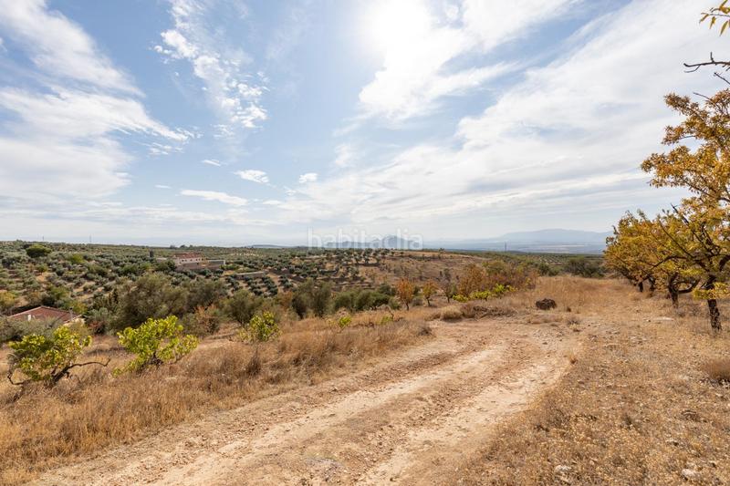 Foto 693f94f8-5ba0-4b53-b8c6-67ccee0f392b. Masía maravillosa casa rústica con parcela de 10.000m2! en Cogollos de la Vega