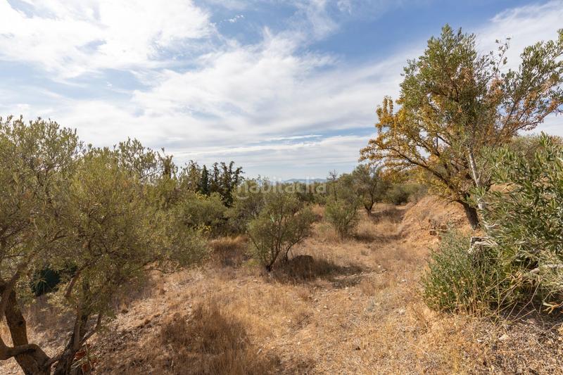 Foto 757c6d2c-e9d5-48fb-bf6c-d99610515338. Masía maravillosa casa rústica con parcela de 10.000m2! en Cogollos de la Vega