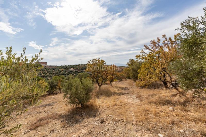 Foto f372fff5-c1e0-46b7-9914-5d767338cca9. Masía maravillosa casa rústica con parcela de 10.000m2! en Cogollos de la Vega