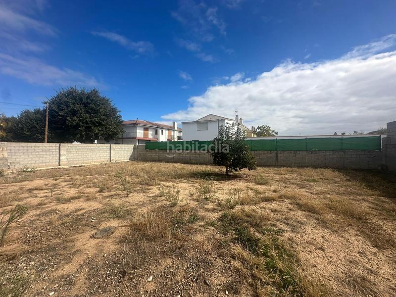 Foto 866e5869-c0e5-478e-ab43-c2eaf5582edc. Terrain résidentiel dans calle del doctor fléming 29 dans Cijuela