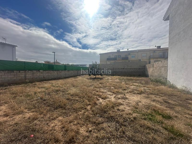 Foto da5dba20-6203-4ddd-926a-75512bd6c0bf. Terrain résidentiel dans calle del doctor fléming 29 dans Cijuela