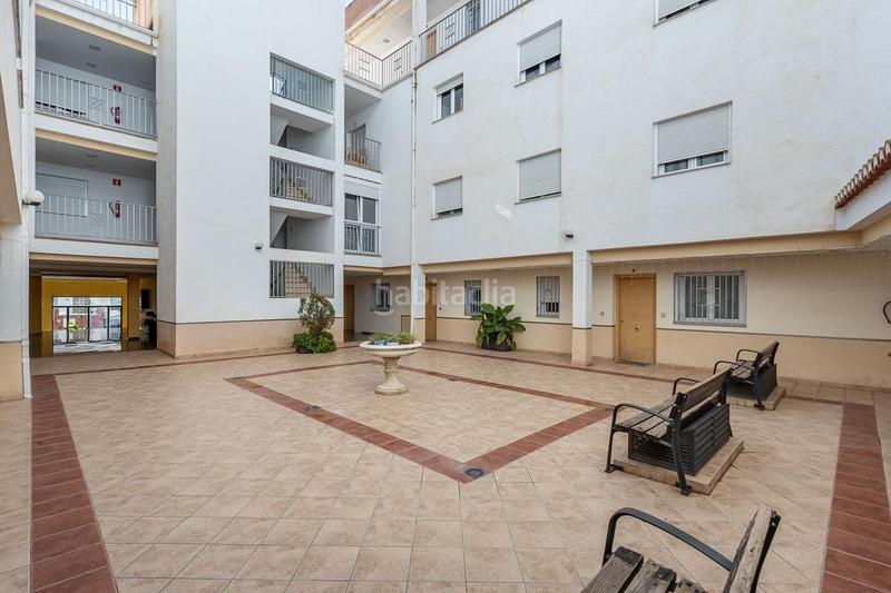 Foto d98bc416-cda8-447a-a761-0a8bdc9e6ab7. Pis a Padul