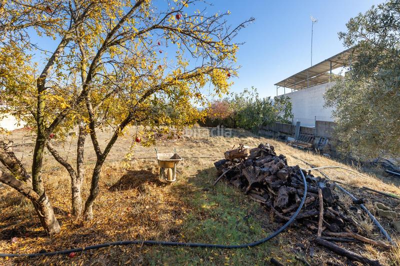 Foto 740114b5-e374-4806-a796-dcb025eee2cd. Terreno residenziale in San Francisco - El Chorrillo Gabias (Las)