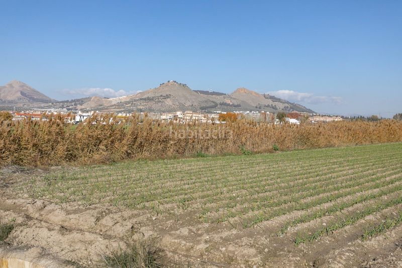 Foto 4898db1e-96e3-4b17-b8b9-881c86a0310b. Terreny residencial a Atarfe
