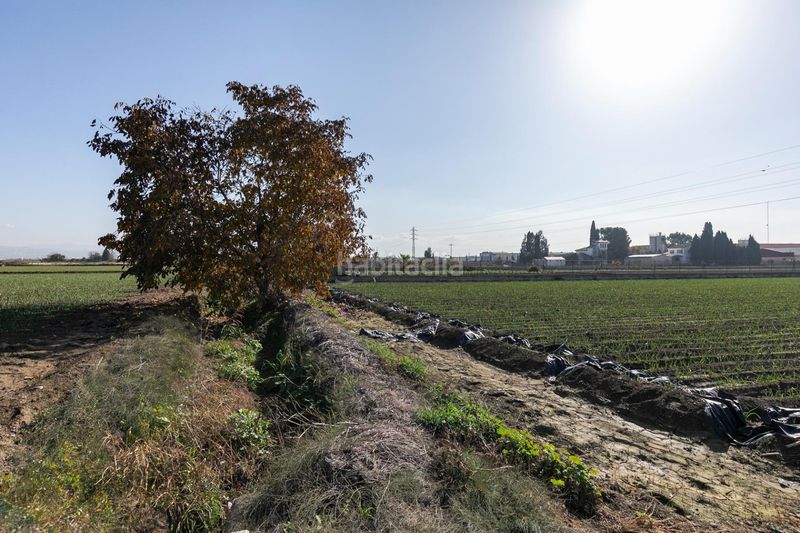 Foto 4d90b722-92eb-4068-b97b-6ba482a3d258. Terreny residencial a Atarfe