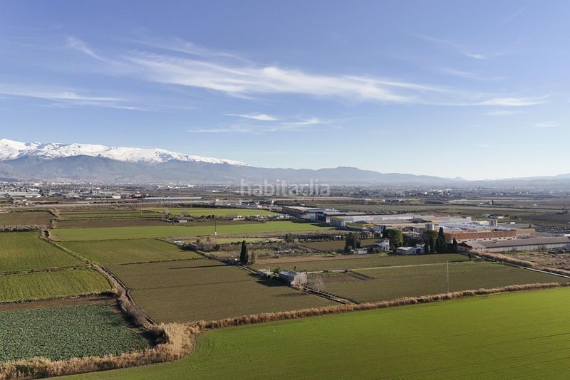 Foto 9fcf7aee-2a5b-4c95-a1af-9cff0411fdd2. Terreny residencial a Atarfe