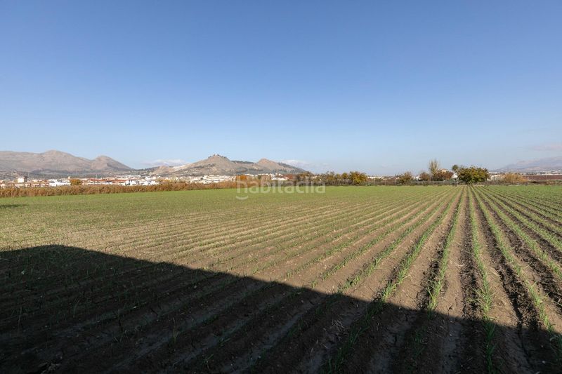 Foto a0d9b1e1-c5be-48f5-8784-7b1b207e65f2. Terreny residencial a Atarfe