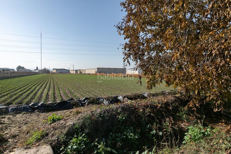 Foto d4d93c93-1a0d-4e03-8b4d-a4c4fec5b33d. Terreny residencial a Atarfe
