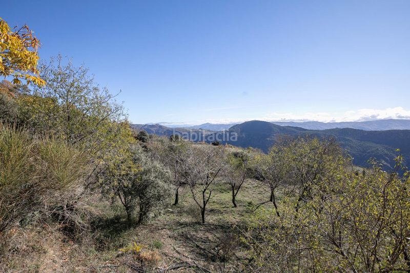 Foto 196e8dd8-cb56-47c2-a37c-0f7729d9a4fe. Masia amb aparcament a Taha (La)