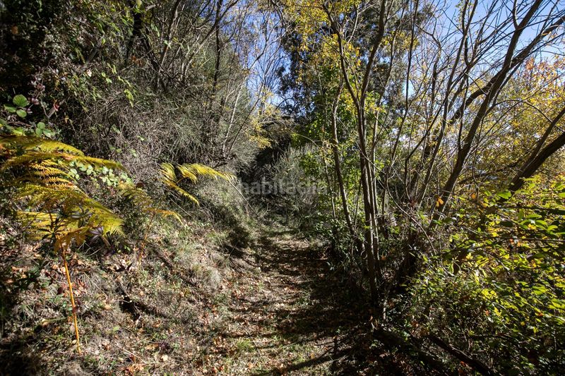 Foto a47312da-ff44-4098-9df2-a7f7c52b2714. Masia amb aparcament a Taha (La)