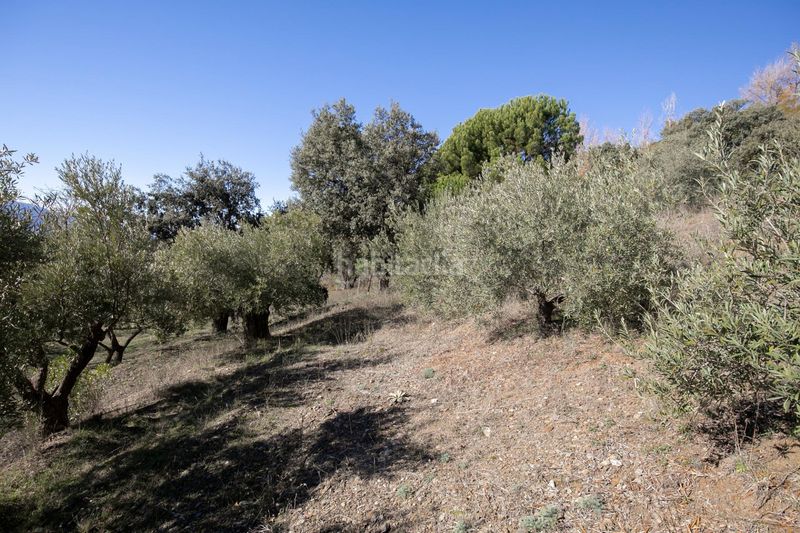 Foto b5dc6fb1-3a62-4a16-82a0-995495892302. Masia amb aparcament a Taha (La)