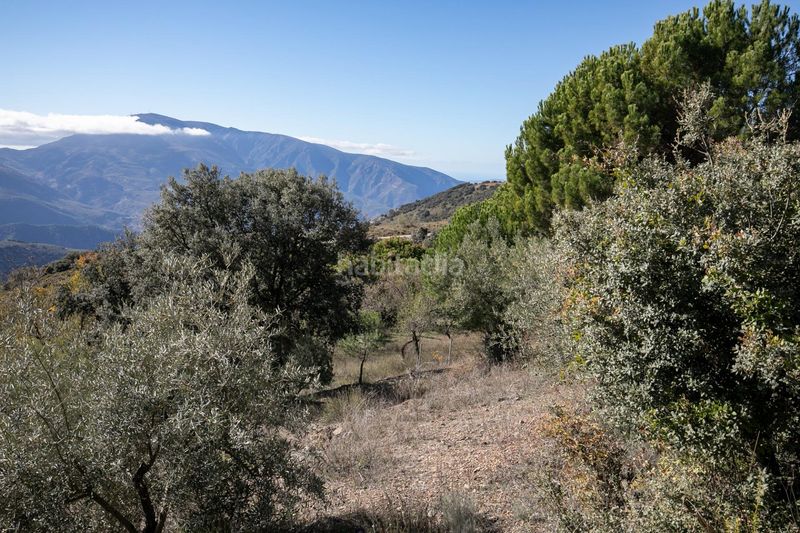 Foto dd92fa38-624b-4ab2-8a2f-a451e8cca42e. Masia amb aparcament a Taha (La)