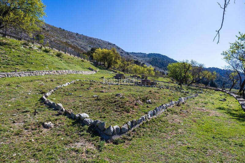 Foto 42a75a73-315a-4c8f-87d4-b253313c206a. Finca rústica a Alfacar