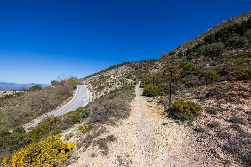 Foto c1a46900-d655-4bf1-aad3-73d6f3d58348. Finca rústica a Alfacar