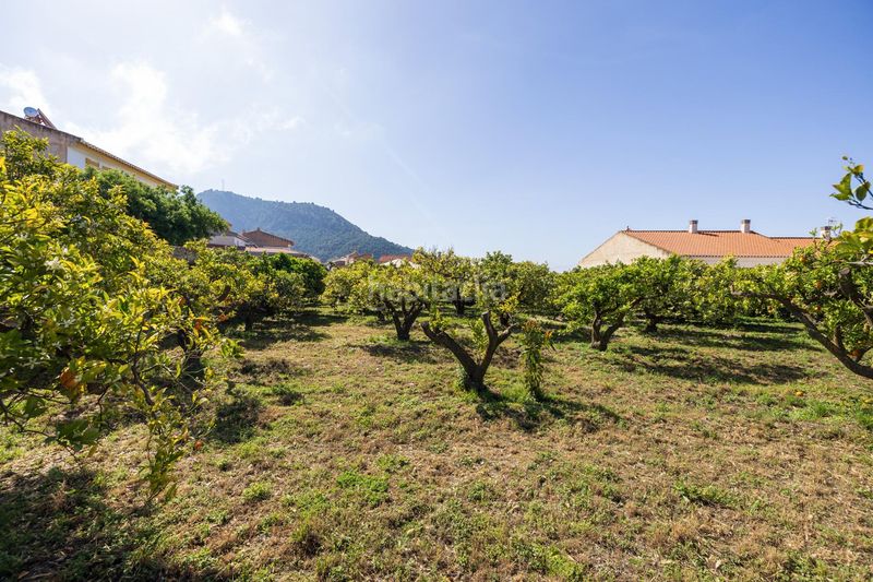 Foto ce7df34f-5a5f-48a0-a938-f2d140677f0a. Finca rústica a Lecrín
