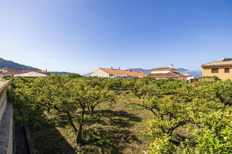 Foto efe4e44d-9386-4724-b7bd-77a431b599d0. Finca rústica a Lecrín