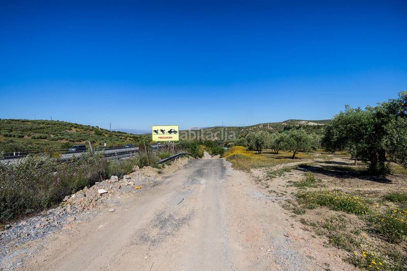 Foto 0b237d35-7e2c-4922-922c-02d9c7fbebd3. Finca rústica a Alfacar