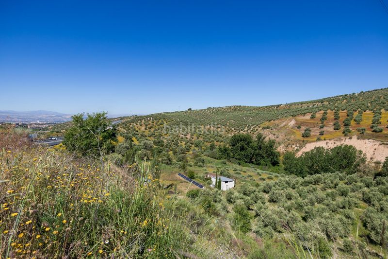 Foto 1a90af92-7e69-48b6-9f05-c7a4641f9890. Finca rústica a Alfacar