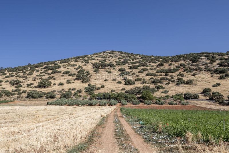 Foto a7730de5-8abc-4f9a-ba3f-c4116ba3bb01. Finca rústica a Montefrío