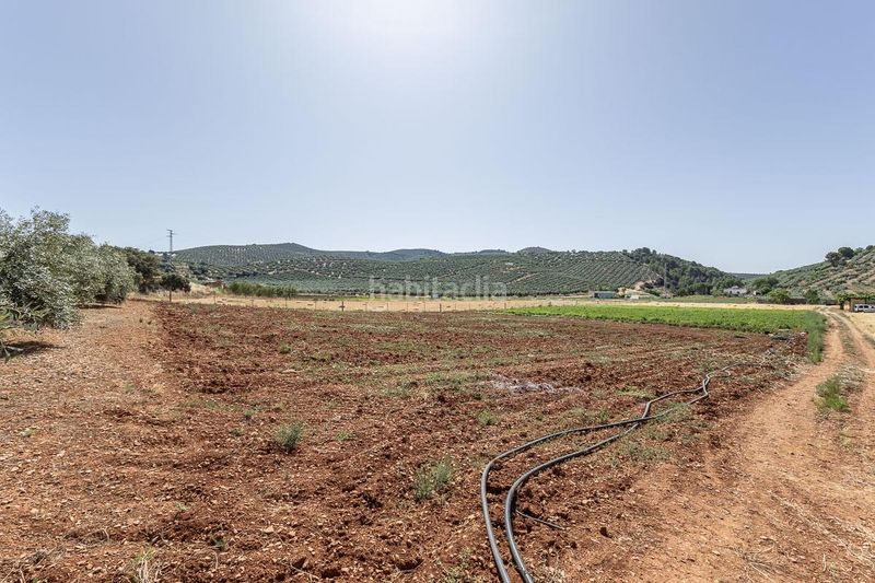Foto a8e2f393-2fb8-4262-8765-3c3c8b649006. Finca rústica a Montefrío
