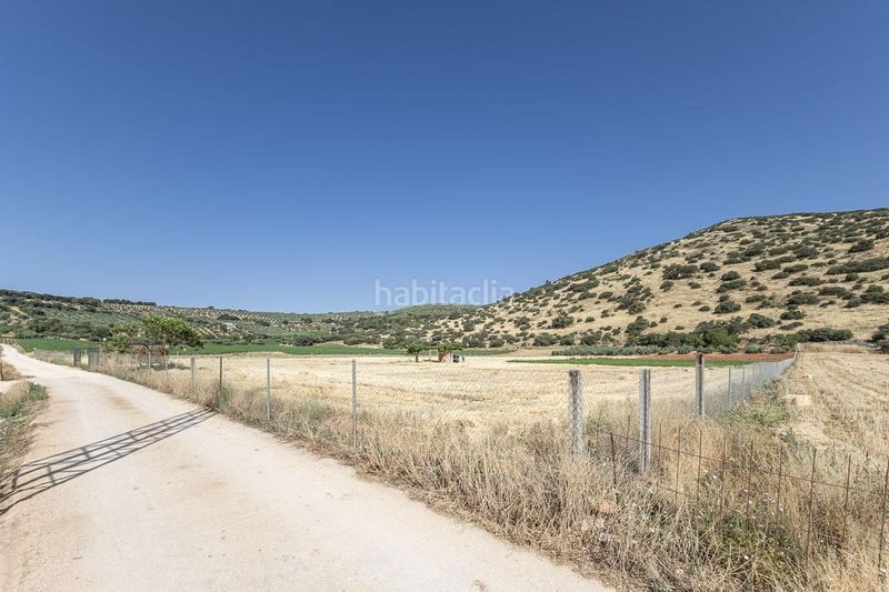 Foto abaa42a5-b585-4164-8594-5820682bdb13. Finca rústica a Montefrío