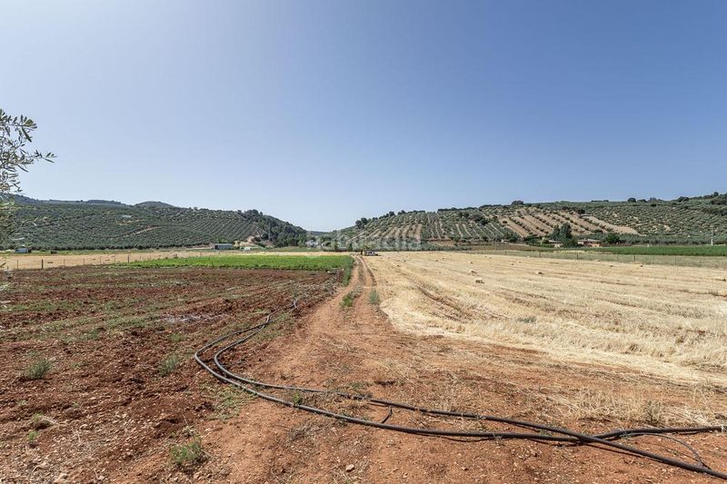 Foto b6796c70-b986-4edc-b052-c6f6ccf94dc6. Finca rústica a Montefrío