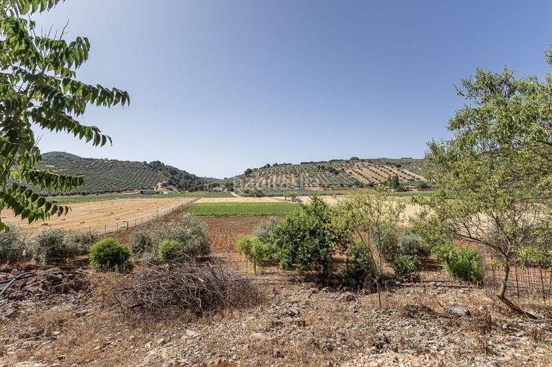 Foto bd1d9b95-5daa-4cd4-98a0-55fee6491fbf. Finca rústica a Montefrío