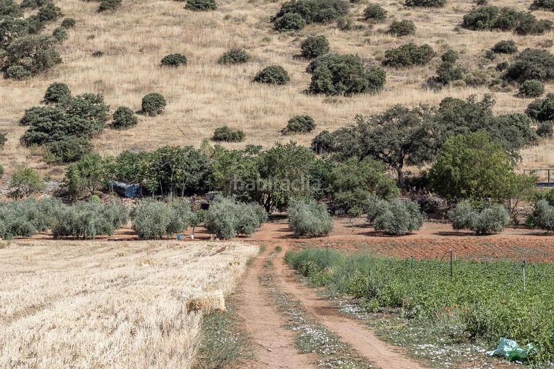 Foto f13b3c36-cb6e-40ac-9114-ad15b0b4c63c. Finca rústica a Montefrío