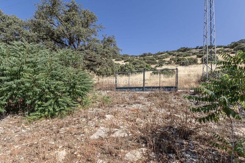 Foto f6aeb63c-3681-4b53-bcb0-e691329c3469. Finca rústica a Montefrío