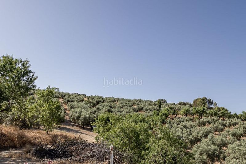 Foto 0e131d19-a399-46b0-8f4b-6f47506af232. Finca rústica a Montefrío